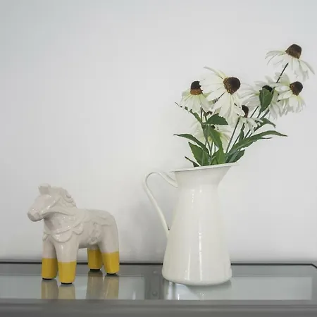 公寓 New Alfama Chic Sao Miguel